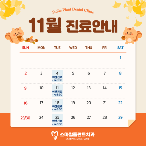 11월 진료안내