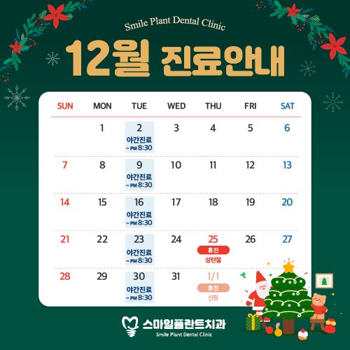 12월 진료안내